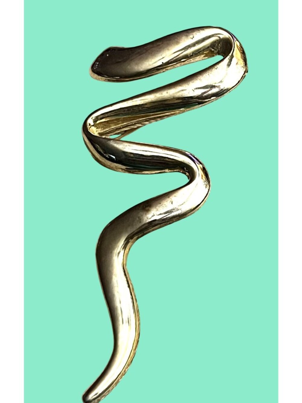 Gold-Toned Snake-Shaped Brooch Pin With Textured Back